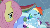 I know how you feel, Dashie. Nopony wants to lose their pet.