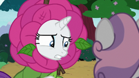 Rarity "the last time we did all of those things" S7E6