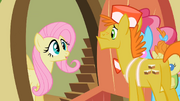 S02E13 U Fluttershy