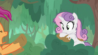 Scootaloo startled by Sweetie Belle S9E22