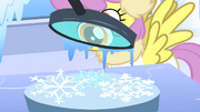 Snowflake inspection S1E16