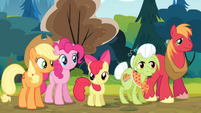 The Apples and Pinkie looking at Goldie S4E09