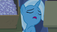 Trixie sleeping in her hammock S8E19