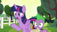 Twilight Sparkle "Rarity and Pinkie's fault" S6E22