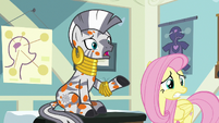 Zecora "is there anything that can be done" S7E20