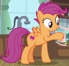 Adult Scootaloo ID S9E22