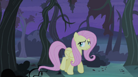 Fluttershy walking alone S4E07