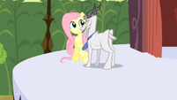 Un poco de espacio para Fluttershy por favor