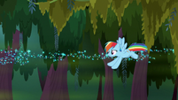 Rainbow Dash flying over the swamp S8E17