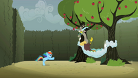 Rainbow Dash wants to fight S2E01