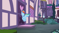 Rainbow gets hit by closed door S4E18