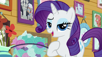 Rarity "how professional" S7E6