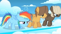 S01E23 RainbowDash ReadyToRace