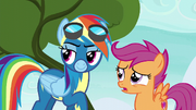 S06E07 Dash prosi Scootaloo o pomoc.png