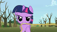 Twilight with a rope S2E10