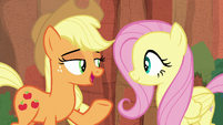 AJ "good thing the map sent both of us" S8E23