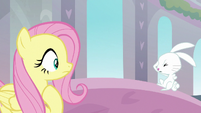 Angel Bunny disappointed in Fluttershy S8E1