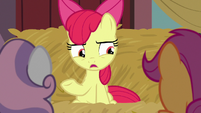 Apple Bloom "right in front of our noses" S8E10