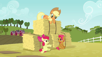 Apple Bloom 'We were so busy with that obstacle course' S3E08