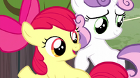 Apple Bloom -now's your chance- S5E6