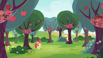 Apple Bloom notices the nets S4E17
