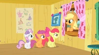 The CMC tell Applejack their plans.