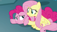 Fluttershy helping Pinkie Pie up S8E25