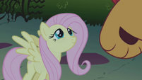 Fluttershy looking kindly at manticore S1E02