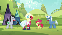 Orchard Blossom pleased; Apple Bloom annoyed S5E17