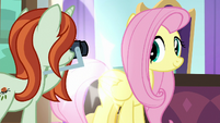 Photographer taking Fluttershy's picture S8E13