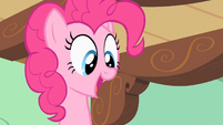 Pinkie Pie they like it! S2E13