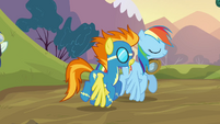 Rainbow Dash and Spitfire