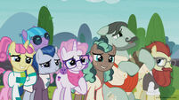 Season 8 promo image - Crowd of background ponies