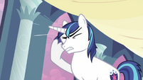 Shining Armor having headaches 2 S2E25