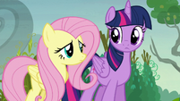 Twilight and Fluttershy looking puzzled S5E23