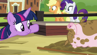 Twilight looking at an unfazed pig S6E10