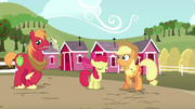 AB "sweet, sweet Sisterhooves Social victory!" S5E17.png