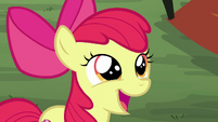 Apple Bloom "we should do the annual" S7E16
