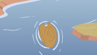 Applejack's hat floating in the water S8E23