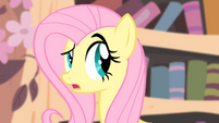 Fluttershy 'I just don't like the idea' S4E07