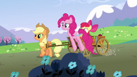 Pinkie about to jump in.