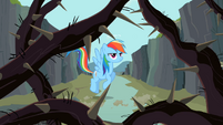 Rainbow Dash looking at the thorny vines S2E07