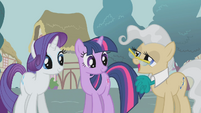 Rarity Twilight and Mayor talking S1E4