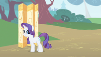 Rarity something together S1E20