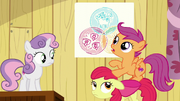 Scootaloo "Ponies with cutie mark problems are hard to find" S6E4.png