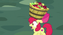 Apple Bloom -look out!- S8E12