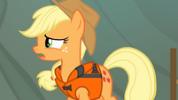 Applejack 'All right, y'all' S4E09