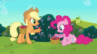 Pinkie Pie and Applejack enjoy picking some Crystal Berries.