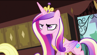 Cadance is not happy.