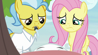 Dr. Fauna and Angel look over Fluttershy S9E18